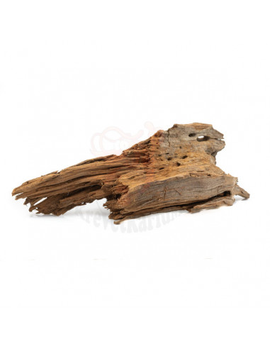 Dekorační akvarijní kořen Mangrove Wood (24 x 9 x 7 cm) » Krevetkárium