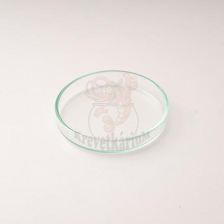 Krmící miska pro krevetky 6 cm » Krevetkárium